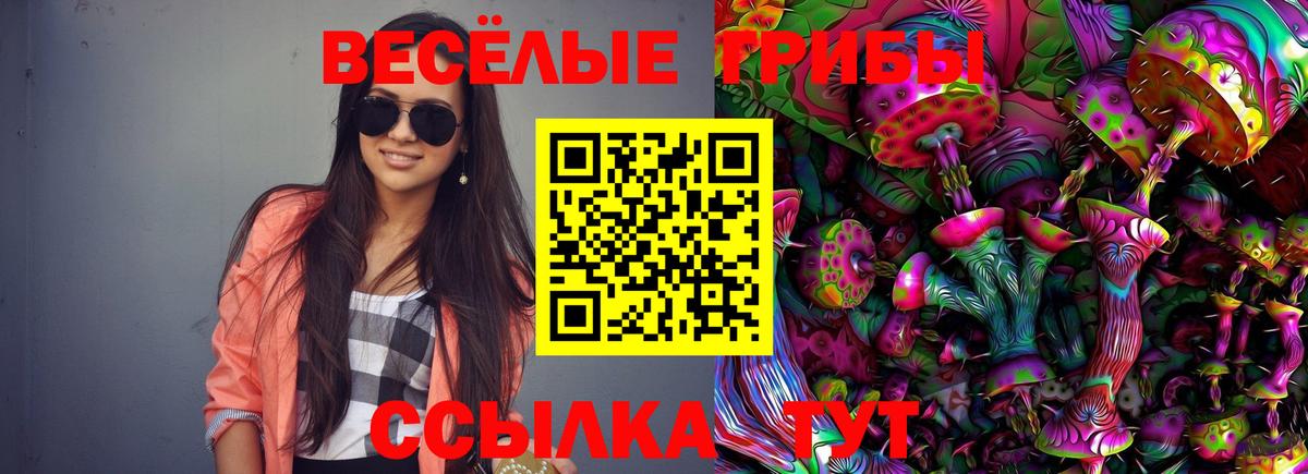 Псилоцибиновые грибы Cubensis Добрянка